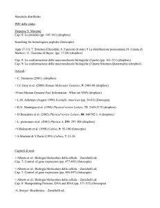 Materiale distribuito PDF delle slides Dispense S. Morante: Cap. 8