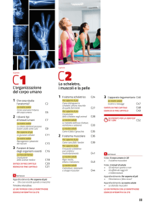 L`organizzazione del corpo umano Lo scheletro, i muscoli e la pelle