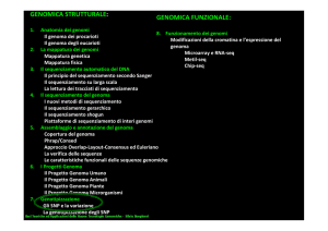 genomica strutturale: genomica funzionale