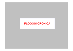 flogosi cronica - + Corso di Laurea Infermieristica