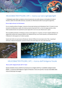 HELICOBACTER PYLORI ( HP ) : ricerca sul siero IgA/IgG/IgM