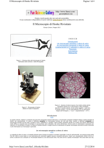 Microscopio di Robert Hooke