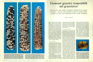 Elementi genetici trasponibili nel granoturco
