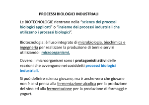 PROCESSI BIOLOGICI INDUSTRIALI Le BIOTECNOLOGIE