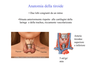 VI tiroide