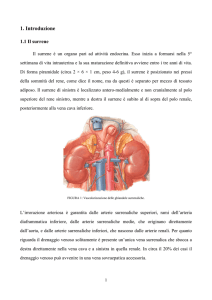 1. Introduzione - W W W . T E L E S A . ORG