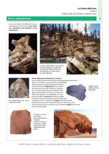 Rocce sedimentarie - Zanichelli online per la scuola