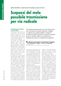 Scopazzi del melo possibile trasmissione per via radicale (PDF