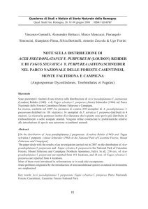 quaderno 26.pmd - Società per gli Studi Naturalistici della Romagna