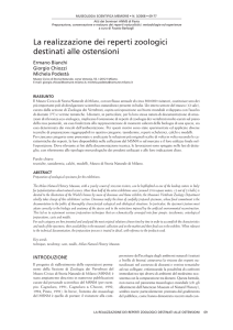 La realizzazione dei reperti zoologici destinati alle ostensioni