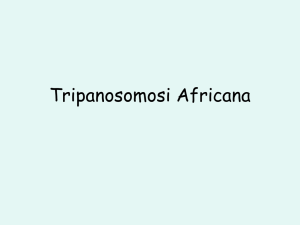 Tripanosomosi Africana