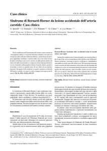 [Bernard-Horner Syndrome after accidental lesion of carotid artery