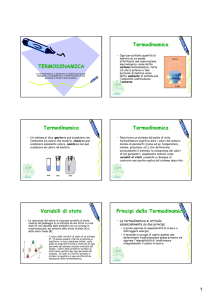 CGODia08 Termodinamica 10/11