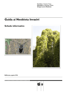 Guida ai Neobiota Invasivi - Alleanza territorio e biodiversità
