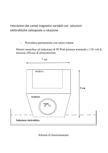 Interazioni dei campi magnetici variabili con