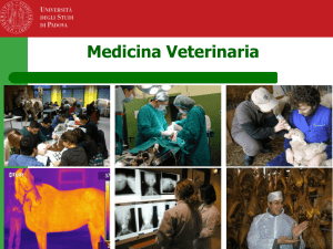 Scuola di Agraria e Medicina Veterinaria