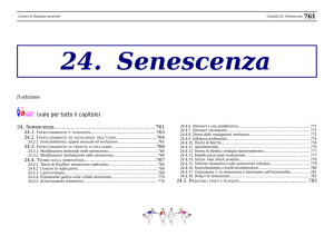 24. Senescenza