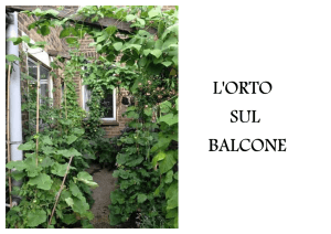 L`orto sul balcone - Comune di Monte San Pietro