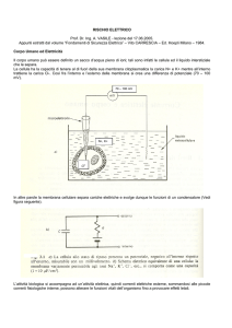 appunti lezione - Digilander