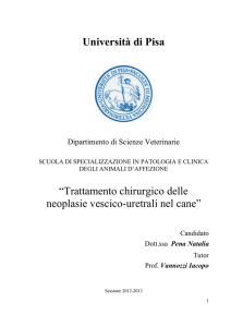 Università di Pisa “Trattamento chirurgico delle neoplasie