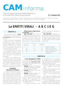 cam informa 6 - CAM - Centro analisi Monza