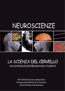 APPUNTI di NEUROSCIENZE - Studio di Psicologia e Psicoterapia