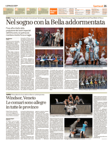 Giornale di Vicenza - 29.12.2014 di S.Panizzon