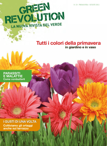 tutti i colori della primavera