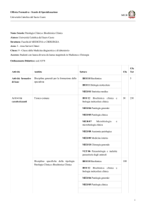 MIUR Offerta Formativa - Scuole di Specializzazione