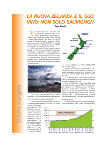 La Nuova Zelanda e il suo vino: non solo Sauvignon