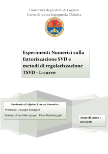 Esperimenti Numerici sulla fattorizzazione SVD e metodi di