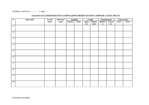 Fonti e impieghi (foglio di lavoro per analisi fatti amministrativi)