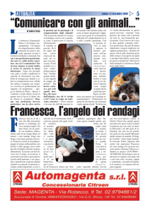“Comunicare con gli animali...” Francesca, l`angelo dei randagi