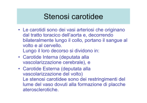 Diapositiva 1 - Axada Catania