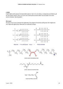 I LIPIDI I lipidi (detti anche grassi) ricomprendono gli oli, i burri e le