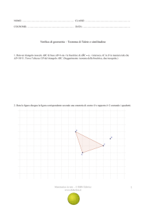 1 Verifica di geometria – Teorema di Talete e similitudine