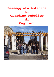 Passeggiata botanica al Giardino Pubblico di Cagliari