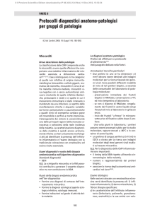 Protocolli diagnostici anatomo-patologici per gruppi di