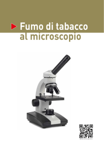 Fumo di tabacco al microscopio