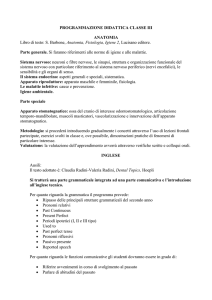 Programmaz classe III - Istituto Odontotecnico Varese