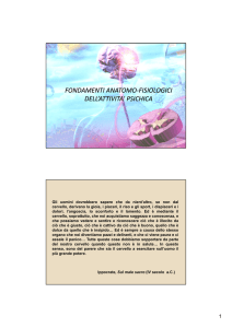 fondamenti anatomo-fisiologici dell`attivita` psichica