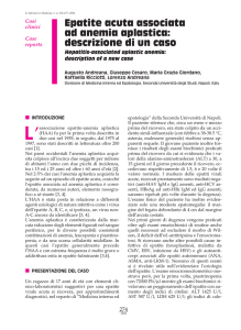 Epatite acuta associata ad anemia aplastica: descrizione