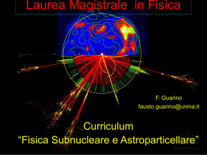 Curriculum Fisica Subnucleare e Astroparticellare