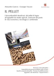 Il Pellet - Dario Flaccovio Editore