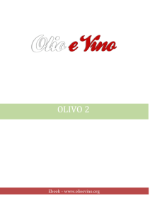 Olivo 2 - Olio e Vino