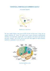 scienza, cervello e spiritualita