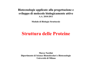 Struttura delle Proteine - Web server per gli utenti dell`Università