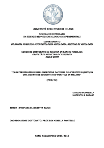 tesi dottorato sanità pubblica XXIII ciclo Davide Brambilla-20