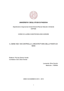 Documento PDF