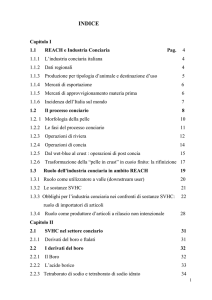 le sostanze svhc nel cuoio